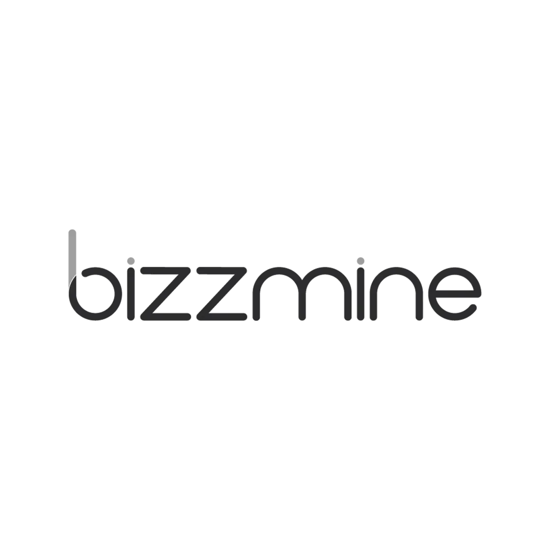 BizzMine - logo - grey