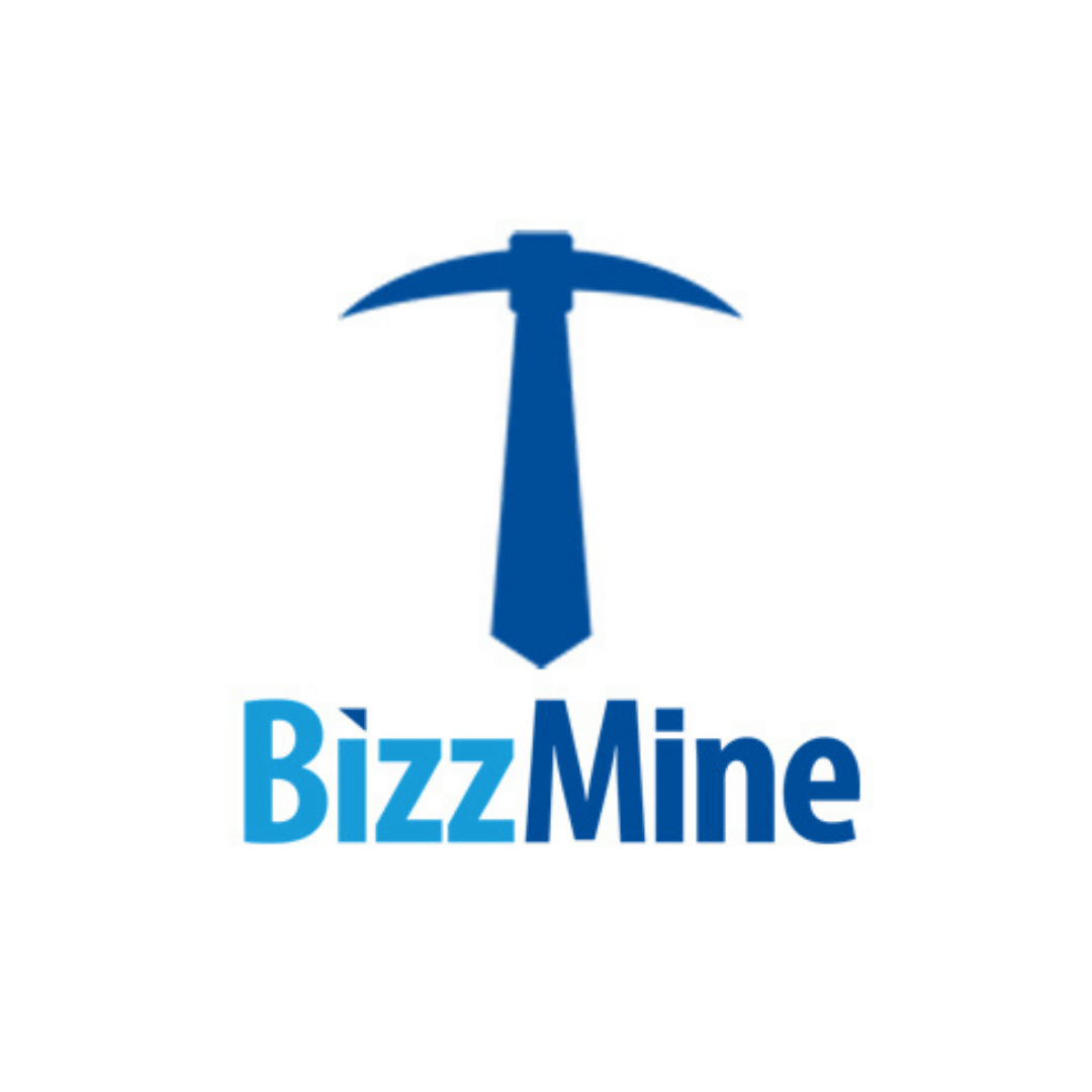 Bizzmine Logo Small